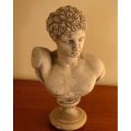 busto